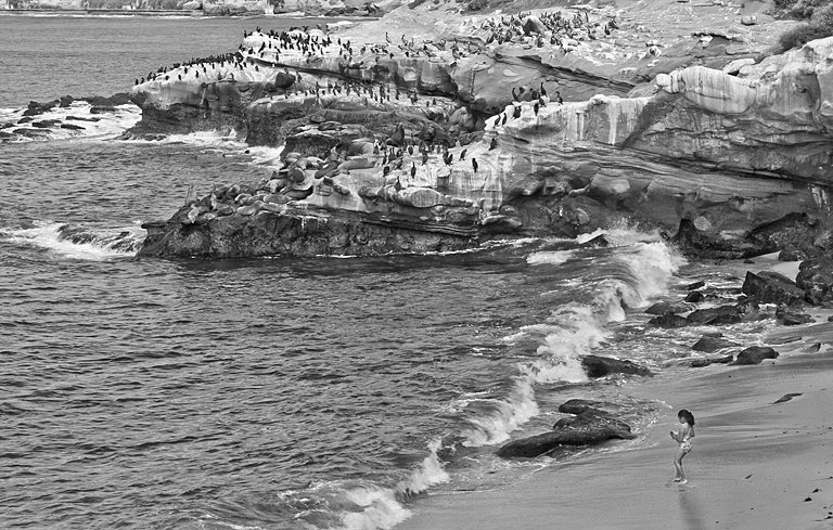 San Diego Rocky La Jolla Cove (BW)   P O'Malley 7425